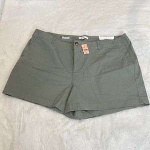 The loft washed twill short size 20 NWT sage green 4” inseam